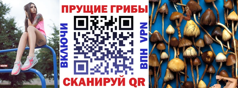 Псилоцибиновые грибы MAGIC MUSHROOMS Новоржев